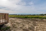Bobolink_514